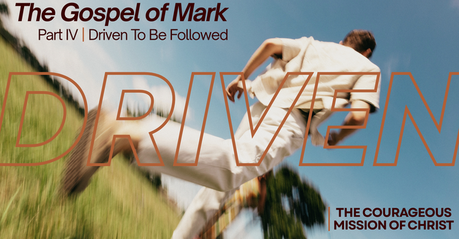 Driven To Be Followed