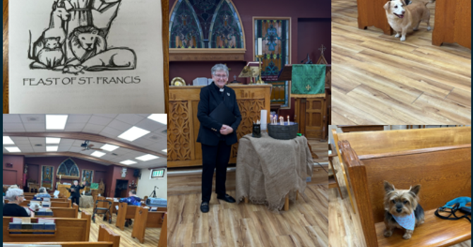 Blessing of the Animals October 5, 2025 image