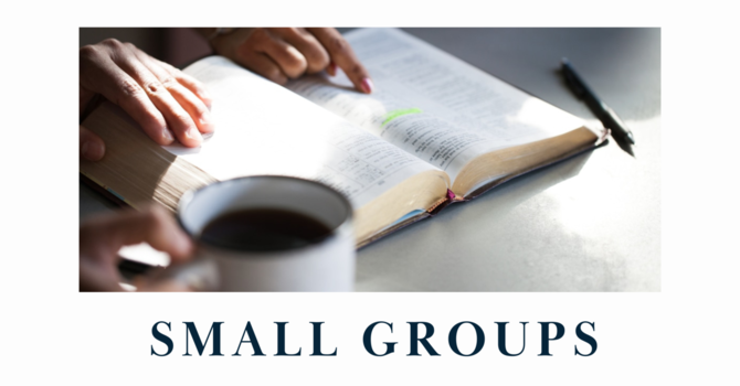 Small Groups are Starting Soon