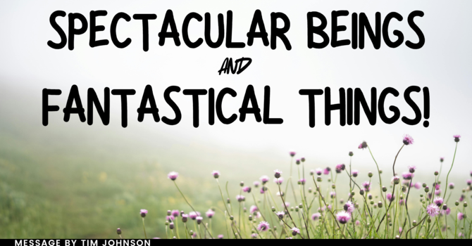 Spectacular Beings and Fantastical Things!