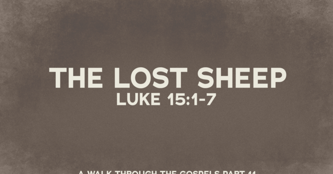 The Lost Sheep