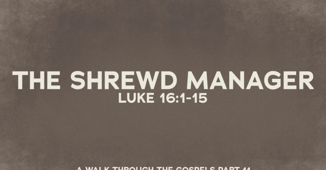 The Shrewd Manager