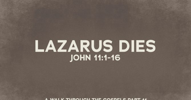 Lazarus Dies