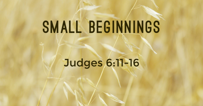 Small Beginnings
