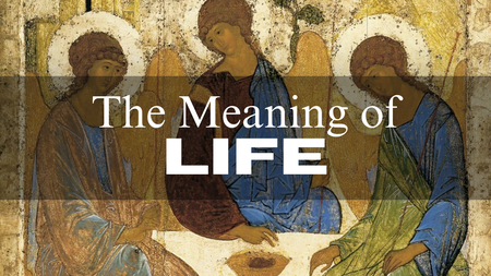 The Meaning of LIFE